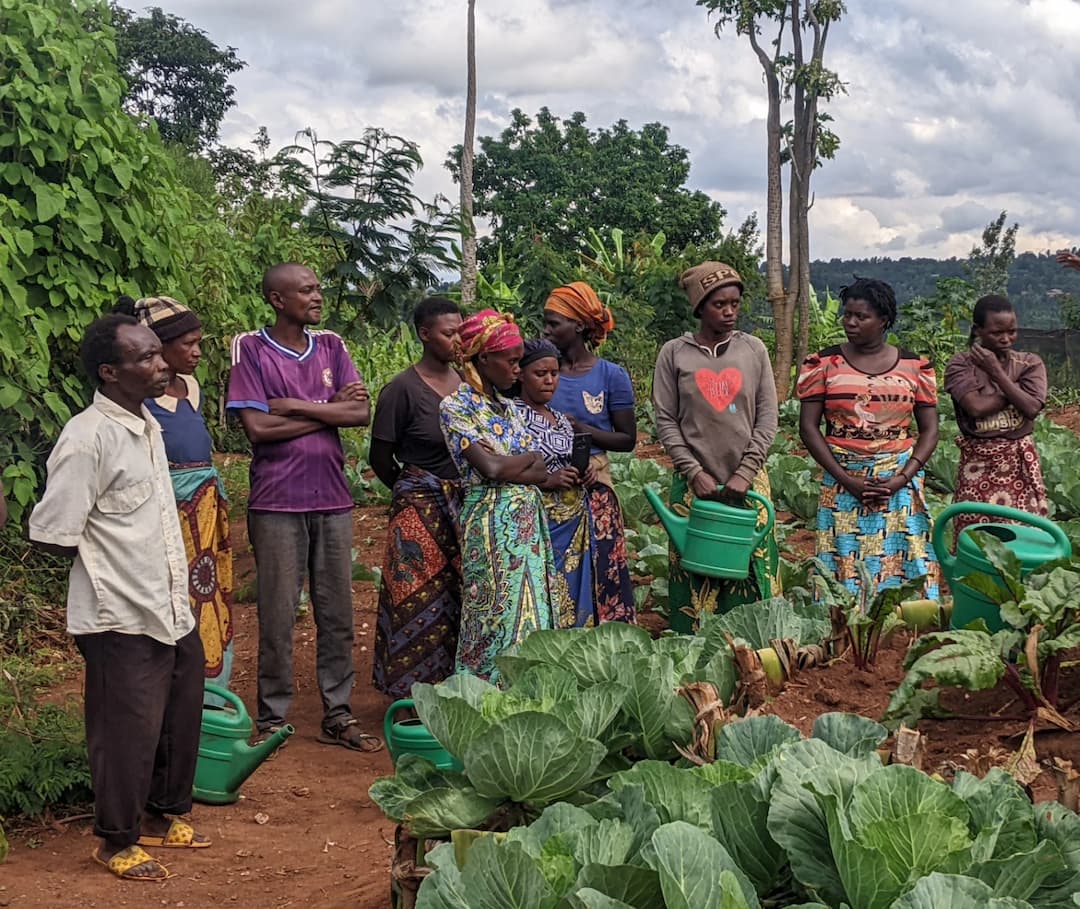 Capacity-Building Activities