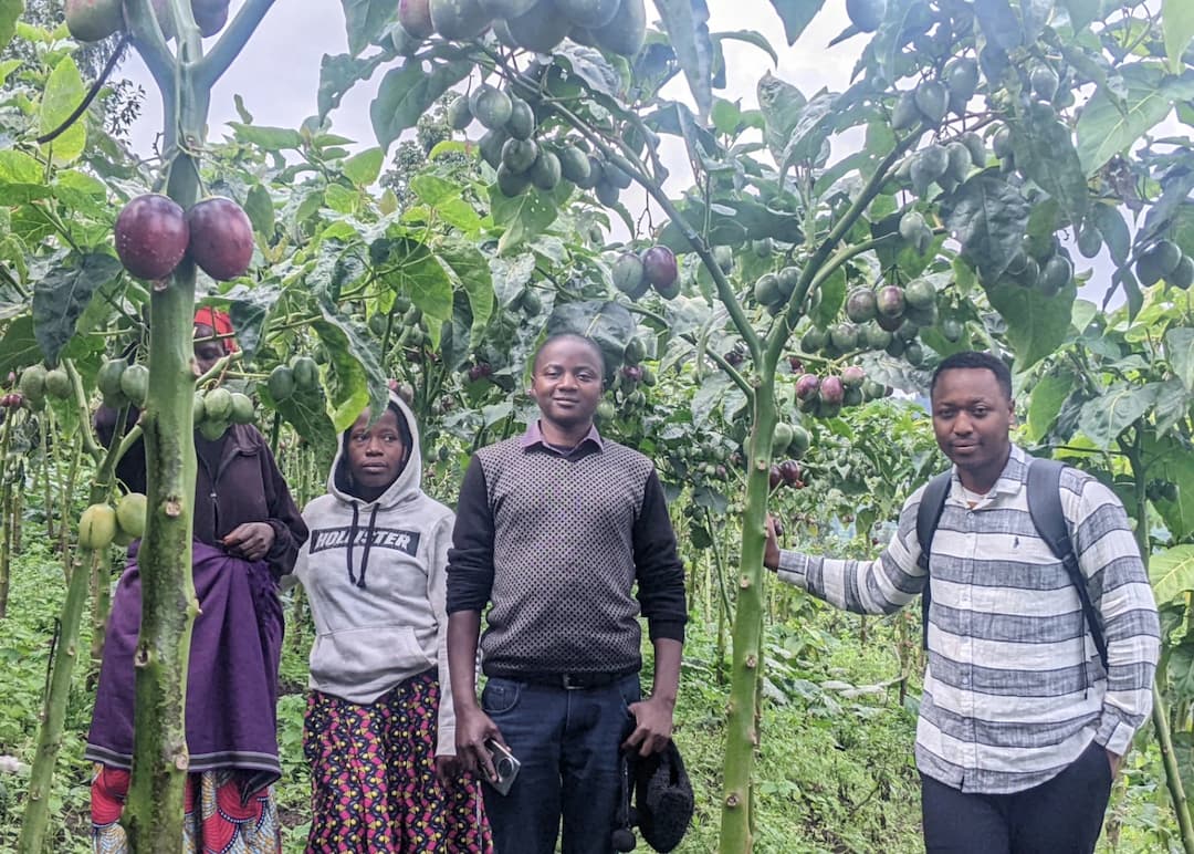 Youth Empowerment & Sustainable Agribusiness