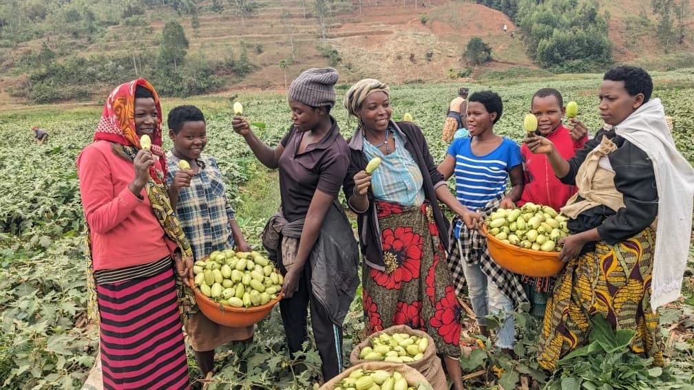 Community Engagement Projects